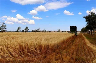 燕麥?zhǔn)崭? /></a>
                    <h3><a href=