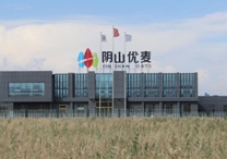 權(quán)威！陰山優(yōu)麥被認證為“中國有機燕麥第 一品牌”